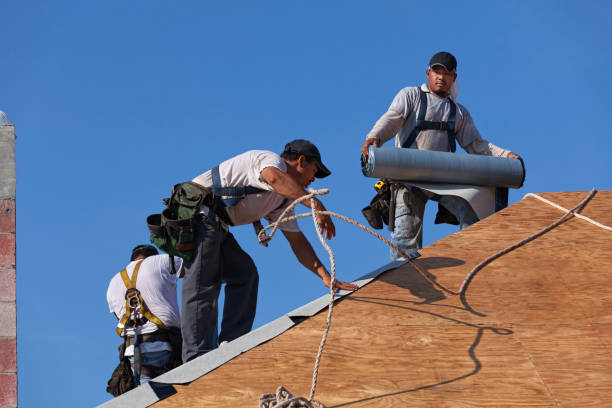 Best Commercial Roofing Services  in Fort Llins, CO